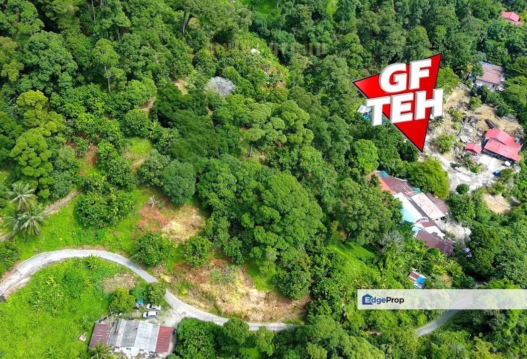 6.8 acres First Grade | Durian Farm | Paya Terubong | Air Itam | Penang Rm20psf, Penang, Ayer Itam