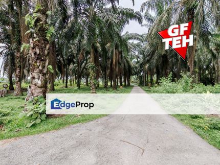 3.614 acre Agricultural land | Sidam Kanan | Padang Serai | Kedah Rm4.13psf dn, Kedah, Kulim