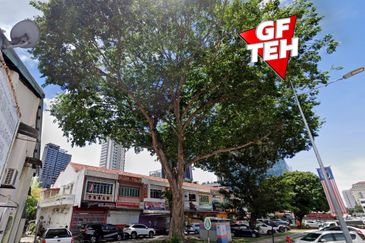 Georgetown UNESCO World Heritage Core Zone