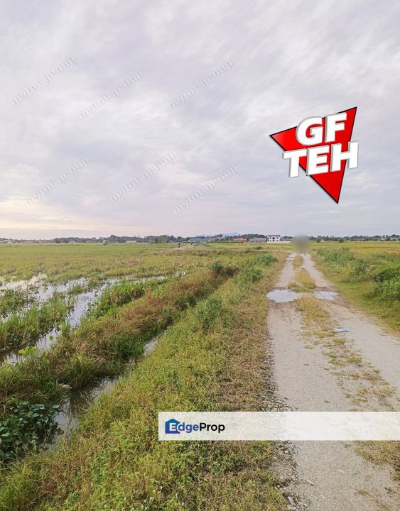 3.45 Acres Agriculture land | Permatang Pauh | Butterworth | Penang jc, Penang, Permatang Pauh