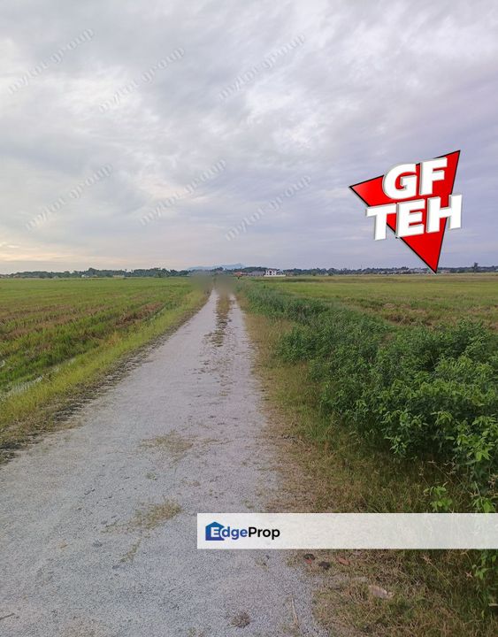 3.45 Acres Agriculture land | Permatang Pauh | Butterworth | Penang jc, Penang, Permatang Pauh