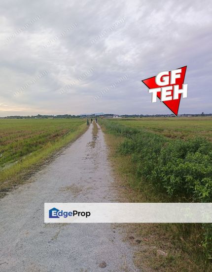 2.59 Acres Agriculture land | Permatang Pauh | Butterworth | Penang j, Penang, Permatang Pauh