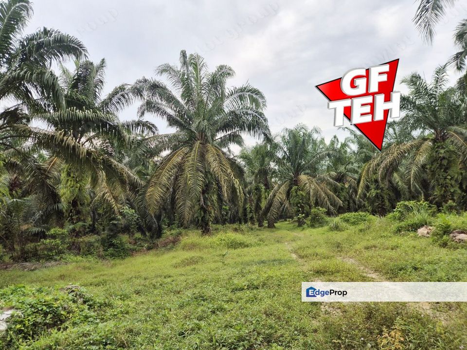 5.043 acres Agricultural Land | Sungai Bakap | Sungai Jawi | Penang 13psf, Penang, Sungai Bakap 