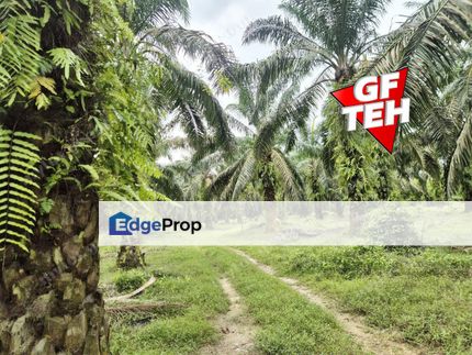 5.043 acres Agricultural Land | Sungai Bakap | Sungai Jawi | Penang 13psf, Penang, Sungai Bakap 