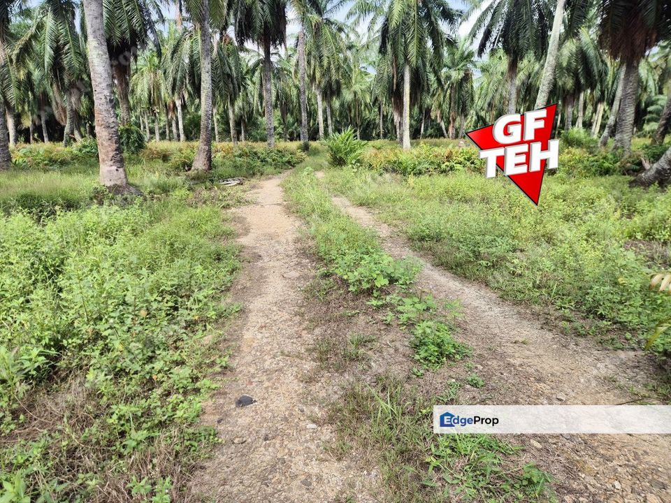 8.881 acres Industrial Land | First Grade | Simpang Ampat | Sungai Bakap | Penang 80psf, Penang, Sungai Jawi