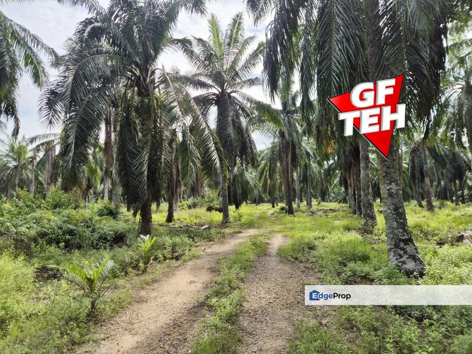 8.881 acres Industrial Land | First Grade | Simpang Ampat | Sungai Bakap | Penang 80psf, Penang, Sungai Jawi