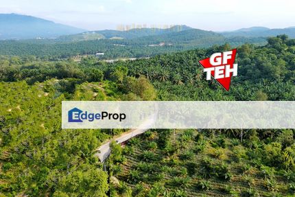 4.63 acres Main Raod | Agricultural Land | Jalan Gajah Mati | Machang Bubok | Bukit Mertajam | Penang 14psf, Penang, Bukit Mertajam