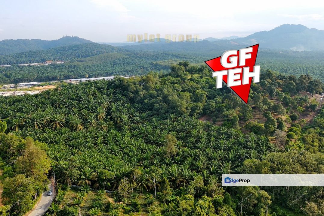 4.63 acres Main Raod | Agricultural Land | Jalan Gajah Mati | Machang Bubok | Bukit Mertajam | Penang 14psf, Penang, Bukit Mertajam