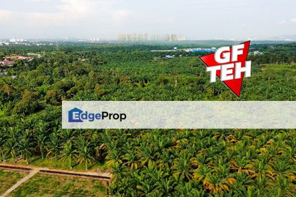 7.39 acres Oil Plantation | Agircultural Land | SPT | Gajah Mati | Bukit Mertajam Rm9psf, Penang, Bukit Mertajam