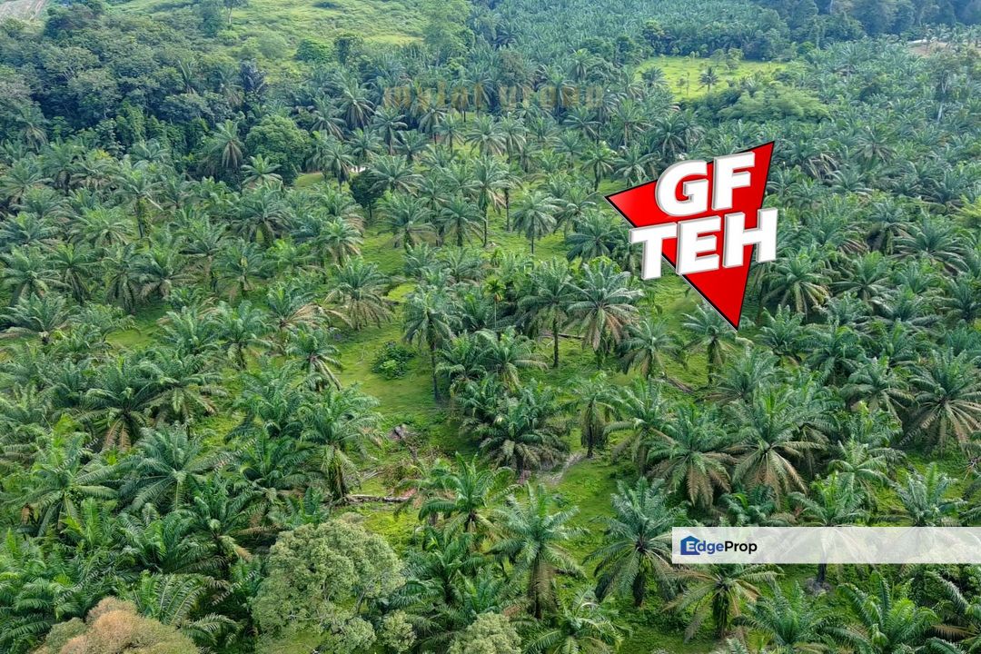9.20 acres Future Development Land | Valdor | Simpang Ampat | Sungai Jawi | Penang Rm14psf, Penang, Sungai Bakap 