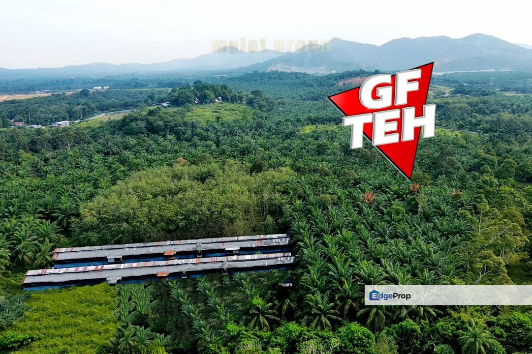 9.20 acres Future Development Land | Valdor | Simpang Ampat | Sungai Jawi | Penang Rm14psf, Penang, Sungai Bakap 