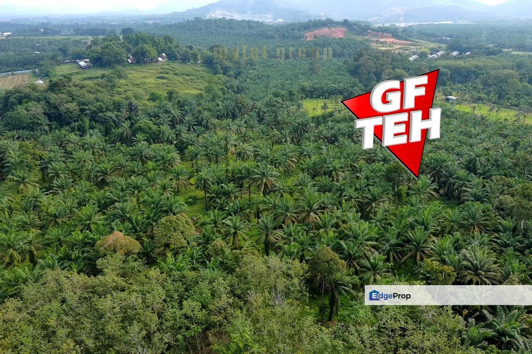 9.20 acres Future Development Land | Valdor | Simpang Ampat | Sungai Jawi | Penang Rm14psf, Penang, Sungai Bakap 