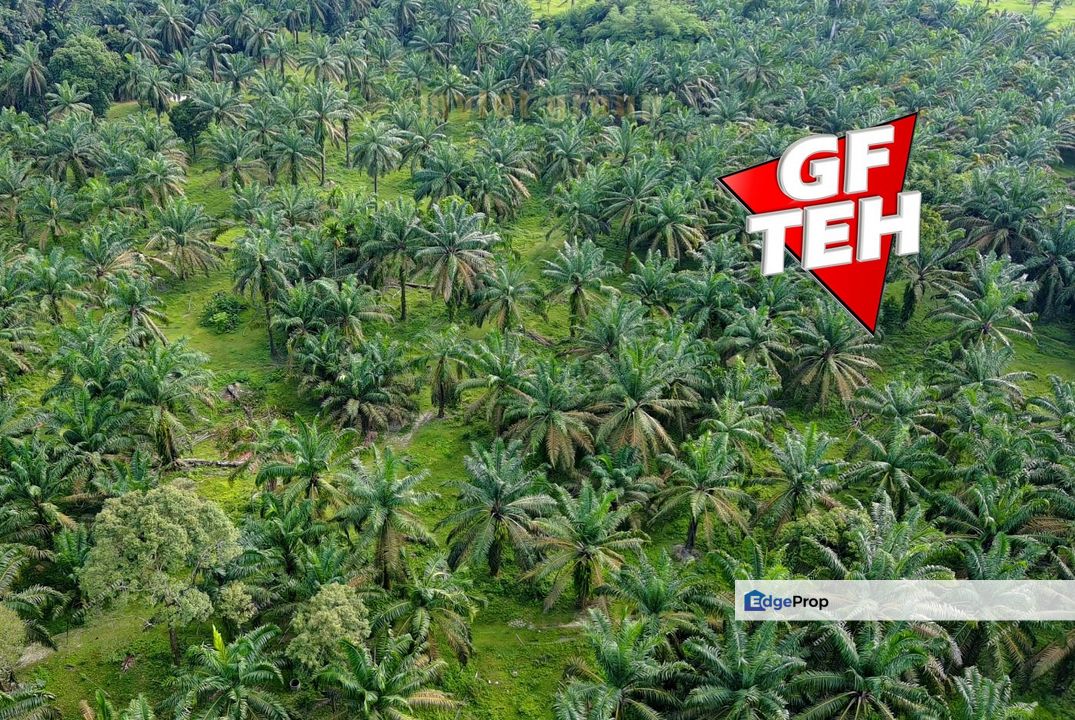 9.20 acres Future Development Land | Valdor | Simpang Ampat | Sungai Jawi | Penang Rm14psf, Penang, Sungai Bakap 