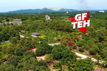 Agriculture Land @ Taiping