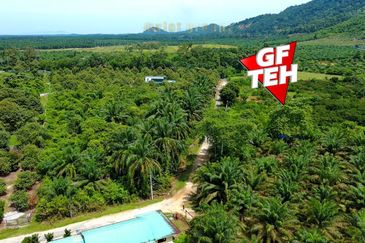 Agriculture Land @ Taiping