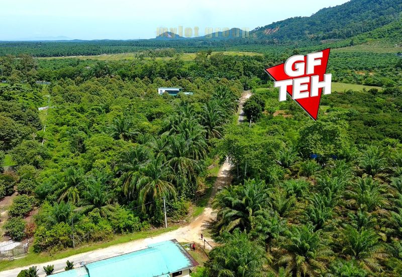 Agriculture Land @ Taiping