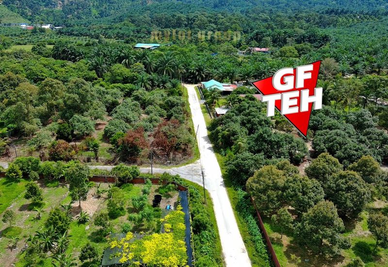 Agriculture Land @ Taiping