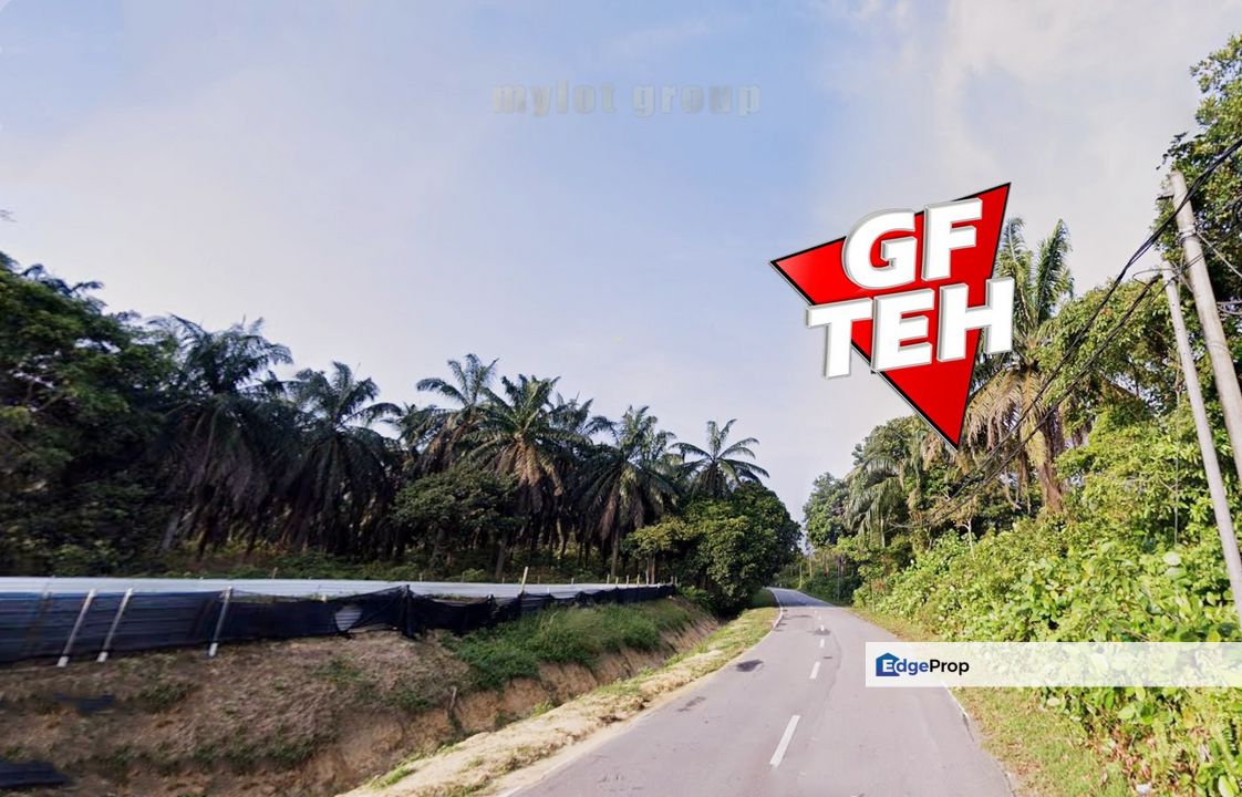 3.25 acre Cheapest Residential Land | Bumi Lot | Bukit Merah | Developing area | Keiran | Gunong Semanggol | Perak , Perak, Semanggol