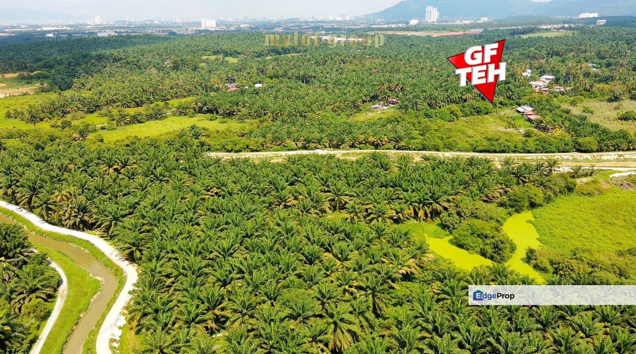 1.2 acre Agricultural Land | Sungai Junjong | Simpang Ampat | SPS | Penang RM6.90psf, Penang, Simpang Ampat