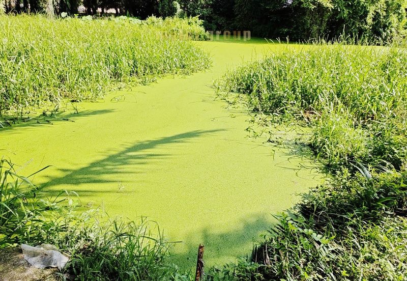 Kawasan Perniagaan Simpang Ampat