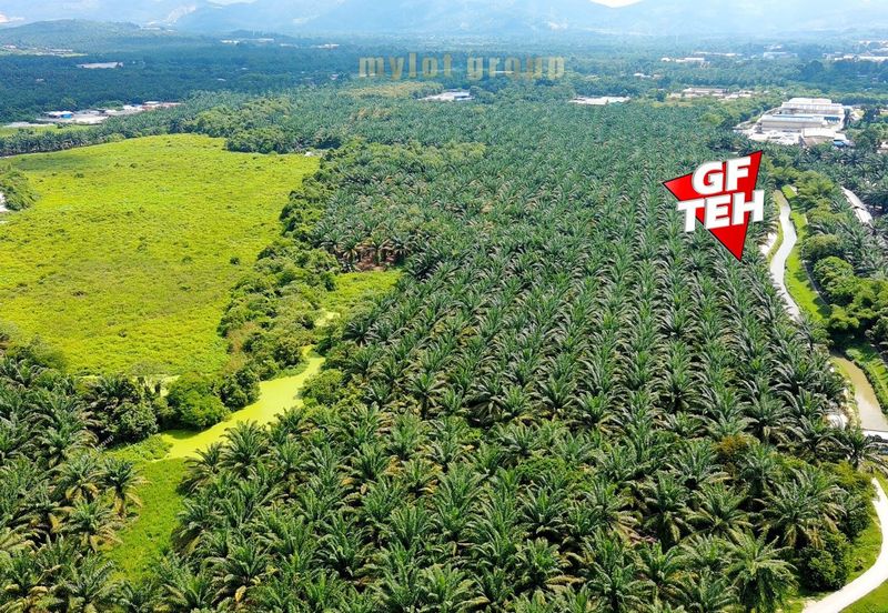 Kawasan Perniagaan Simpang Ampat