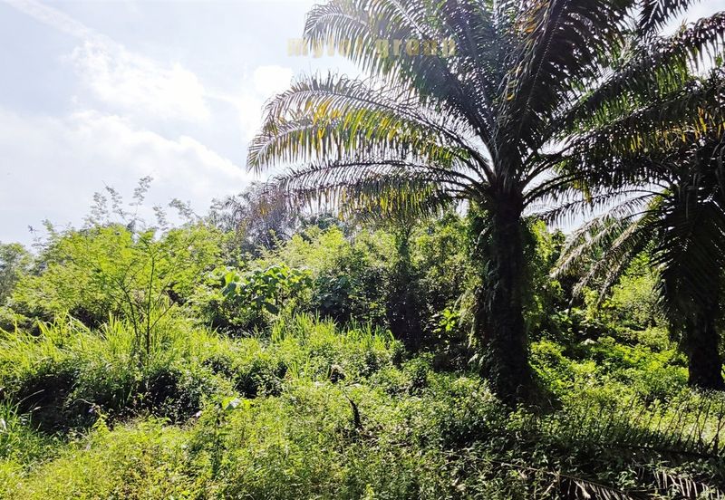 Kawasan Perniagaan Simpang Ampat