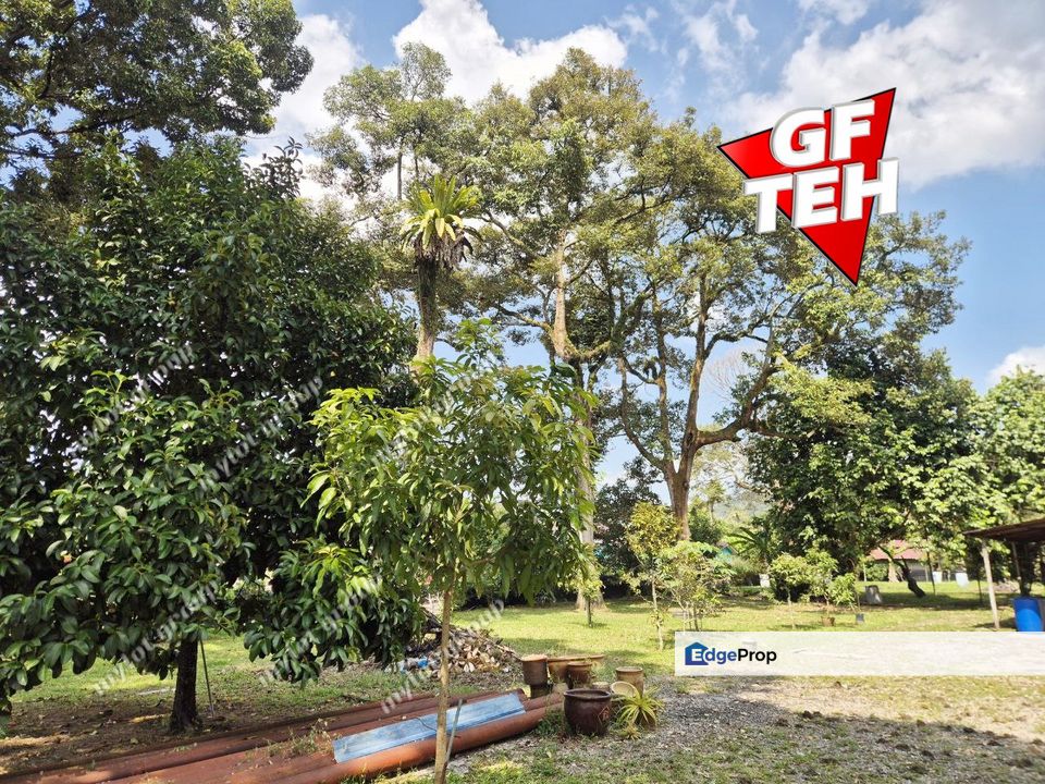 0.96 Acres Small Piece Land | Durian Farm with Kampung house | Sungai bakap | Jawi | Penang Rm 70 psf B, Penang, Sungai Bakap 