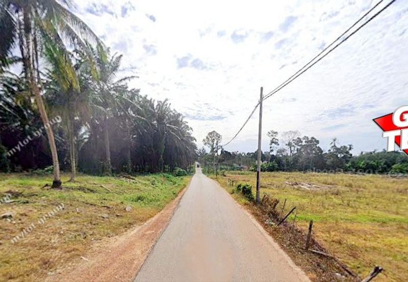 Kampung Padang China