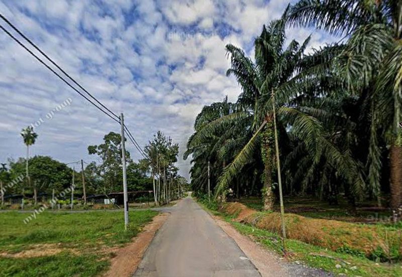 Kampung Padang China