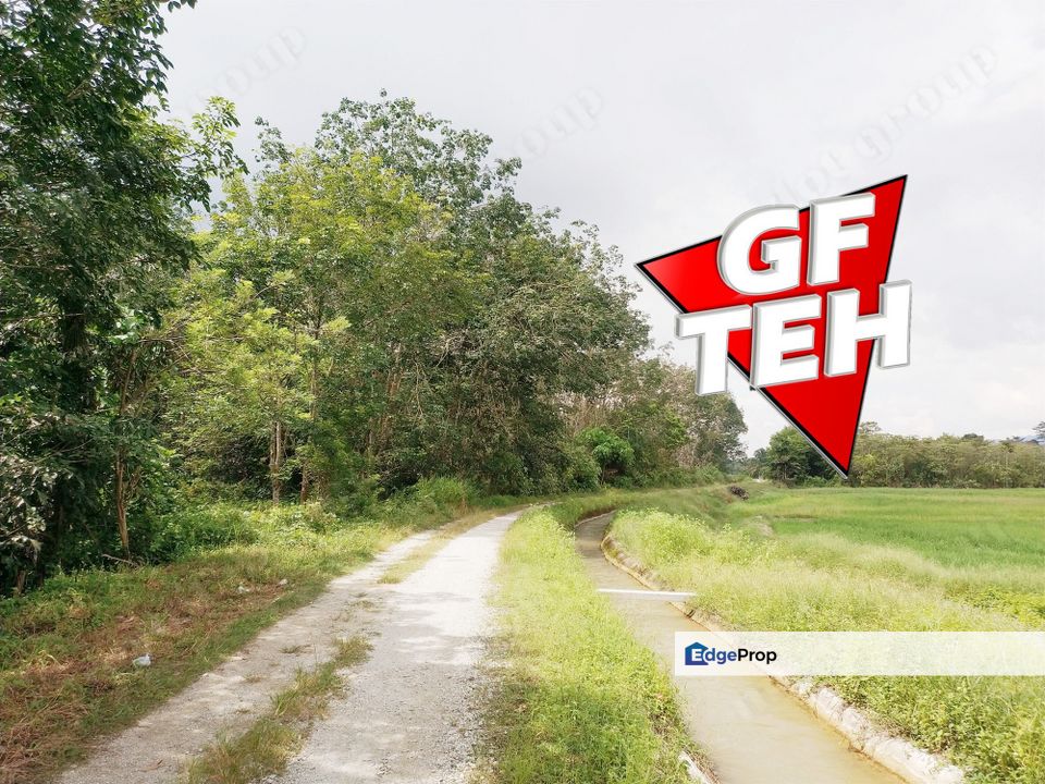 1.71 Acre Agricultural Land | Padang Meha | Paddy Field | Karangan | Kedah Rm6 psf, Kedah, Karangan