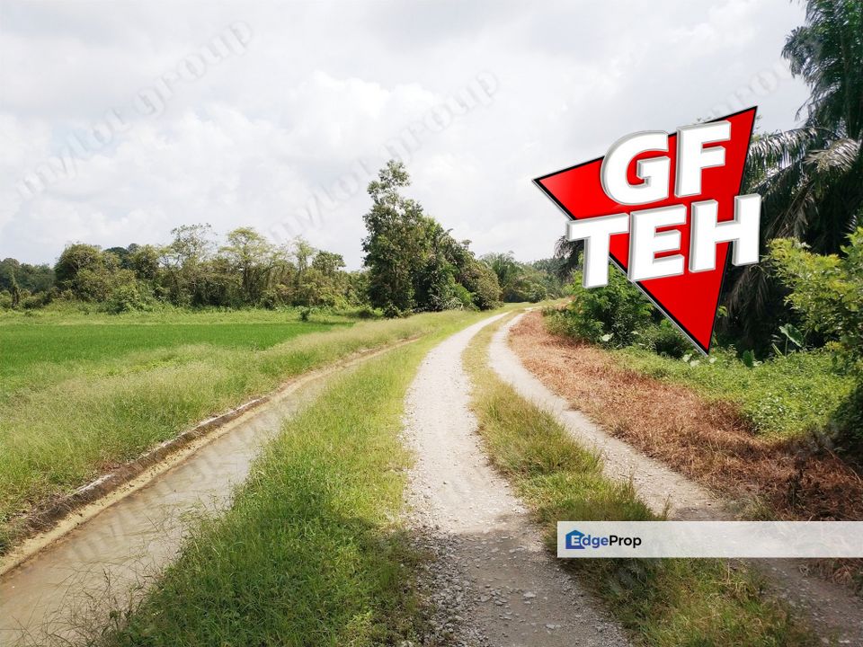 1.71 Acre Agricultural Land | Padang Meha | Paddy Field | Karangan | Kedah Rm6 psf, Kedah, Karangan