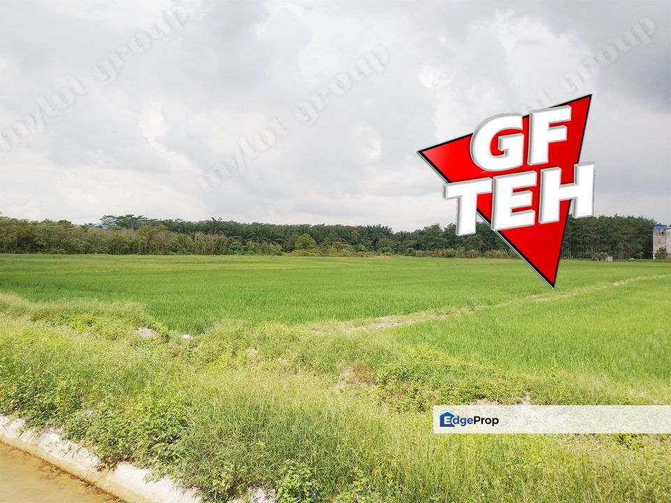 1.71 Acre Agricultural Land | Padang Meha | Paddy Field | Karangan | Kedah Rm6 psf, Kedah, Karangan