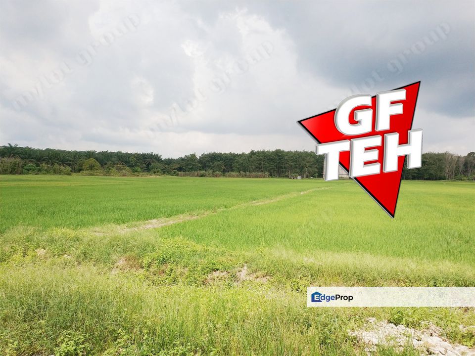 1.71 Acre Agricultural Land | Padang Meha | Paddy Field | Karangan | Kedah Rm6 psf, Kedah, Karangan