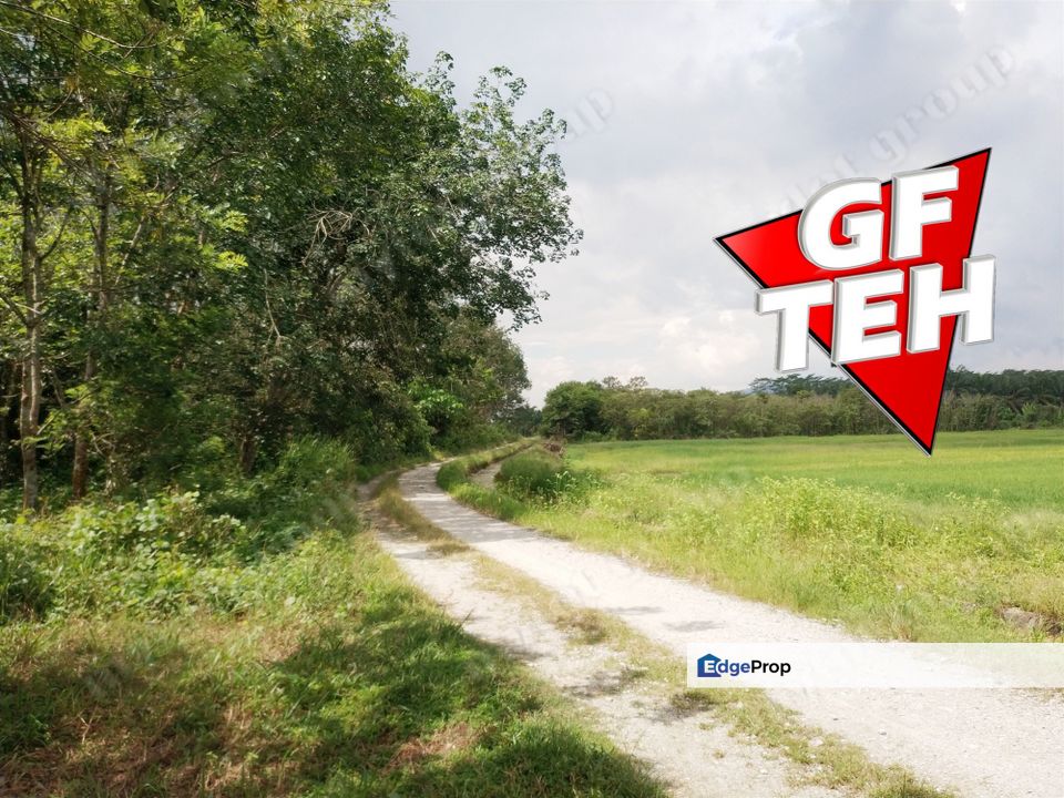 1.71 Acre Agricultural Land | Padang Meha | Paddy Field | Karangan | Kedah Rm6 psf, Kedah, Karangan