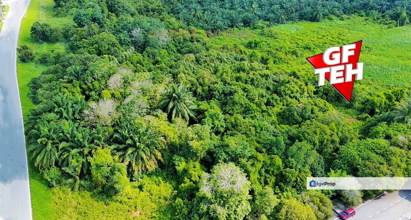 16.56 acres First Grade Industrial Land | Permatang Tinggi | Simpang Ampat | Penang RM130psf, Penang, Bukit Mertajam