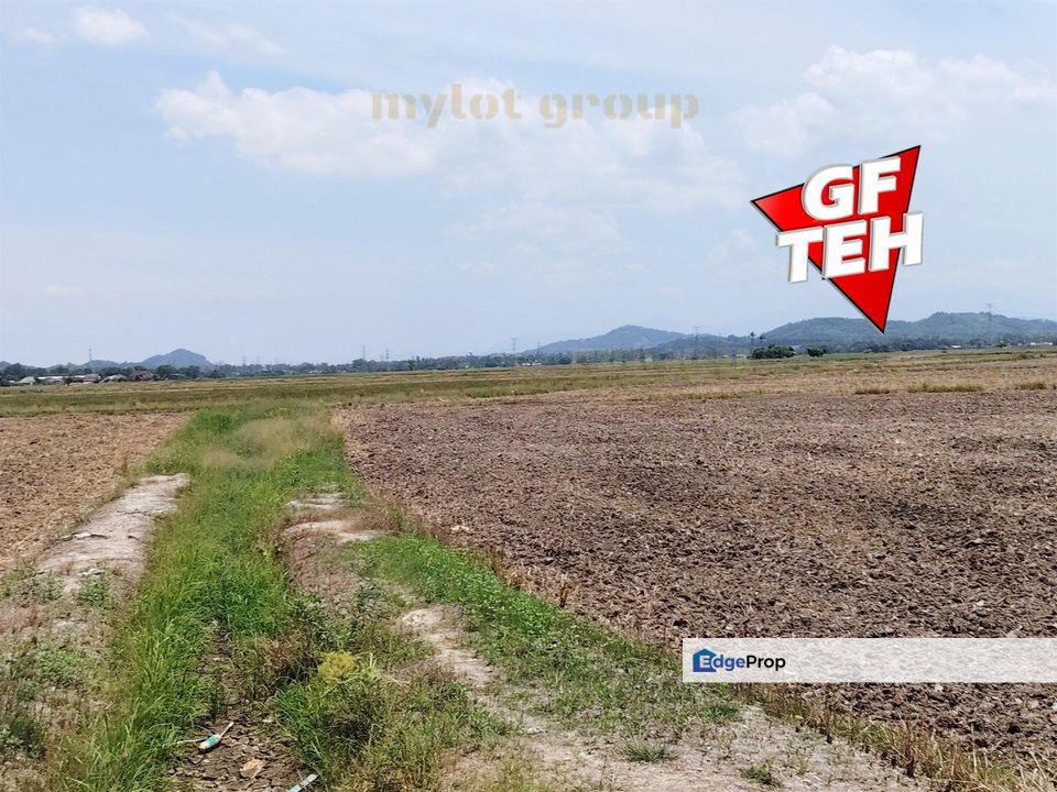 1.21 acre Agricultural Land | Paddy Field | Permatang Pauh  | Bukit Mertajam | Penang RM16 psf L, Penang, Bukit Mertajam