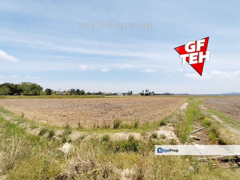 1.21 acre Agricultural Land | Paddy Field | Permatang Pauh  | Bukit Mertajam | Penang RM16 psf L, Penang, Bukit Mertajam