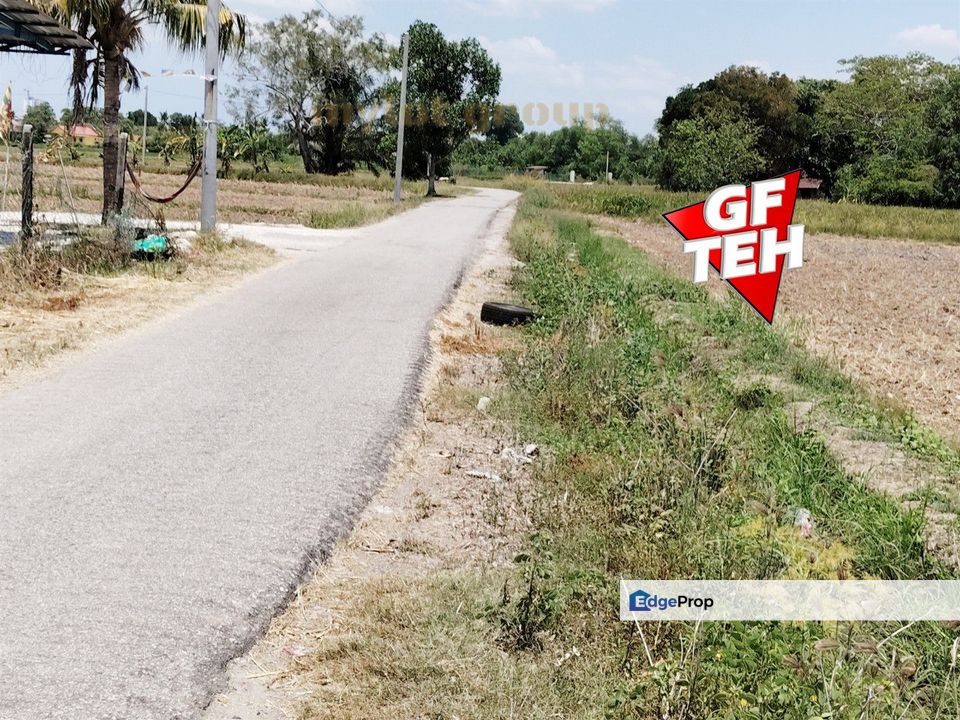 1.21 acre Agricultural Land | Paddy Field | Permatang Pauh  | Bukit Mertajam | Penang RM16 psf L, Penang, Bukit Mertajam