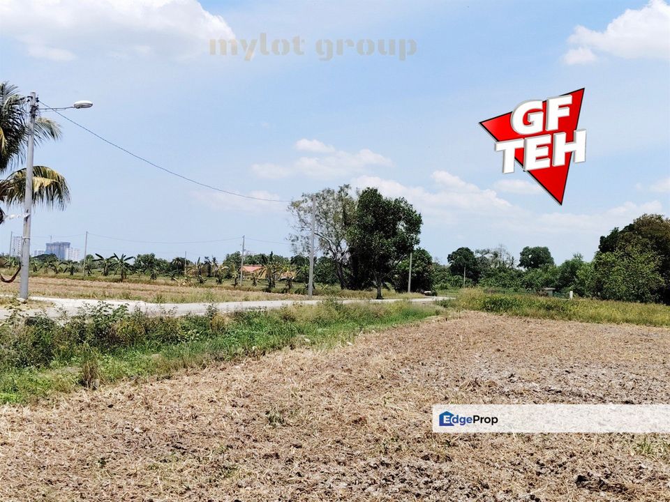 1.21 acre Agricultural Land | Paddy Field | Permatang Pauh  | Bukit Mertajam | Penang RM16 psf L, Penang, Bukit Mertajam