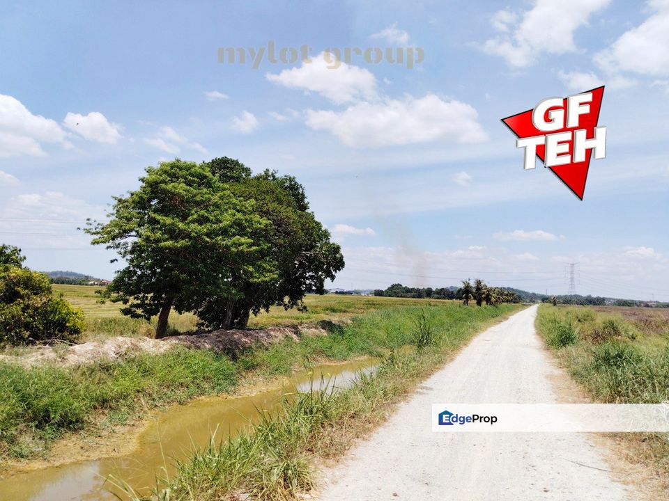 2.47 acre | Paddy Field | Agricultural Land | Permatang Pauh | Bukit Mertajam | Penang RM16 psf L, Penang, Permatang Pauh