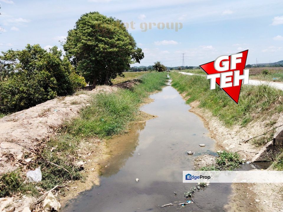 2.47 acre | Paddy Field | Agricultural Land | Permatang Pauh | Bukit Mertajam | Penang RM16 psf L, Penang, Permatang Pauh