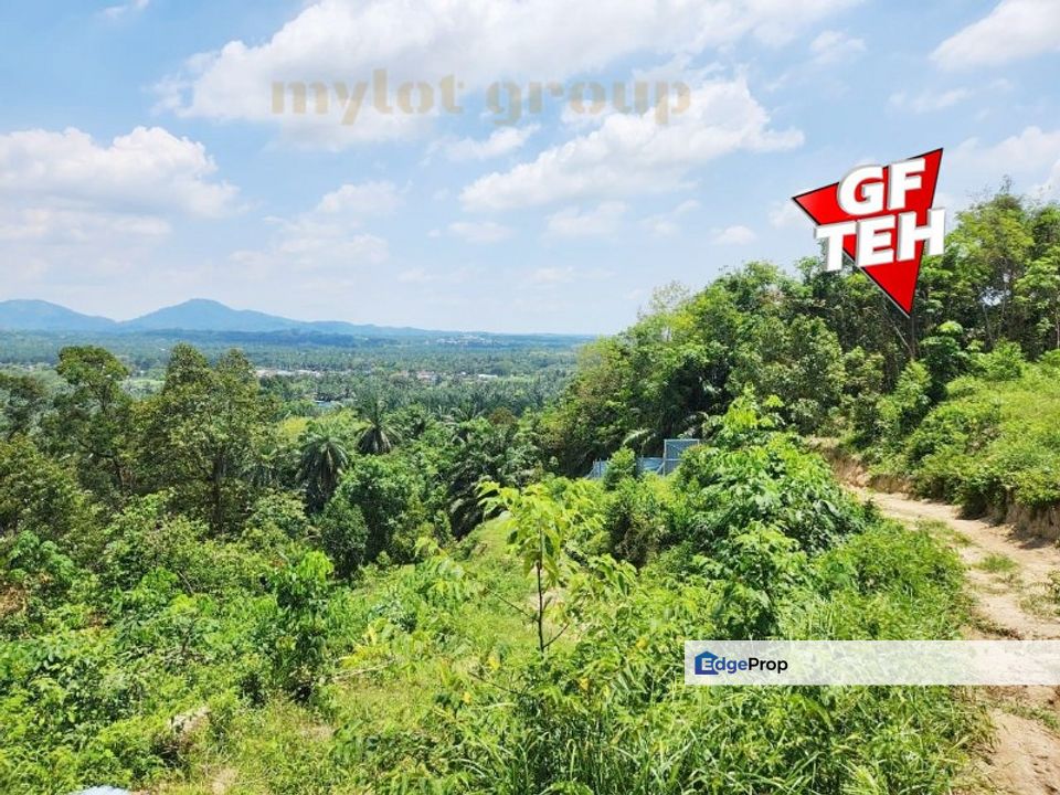 5.99 Acre Agricultural Land  | Sungai Bakap | Penang RM15 psf, Penang, Sungai Bakap 