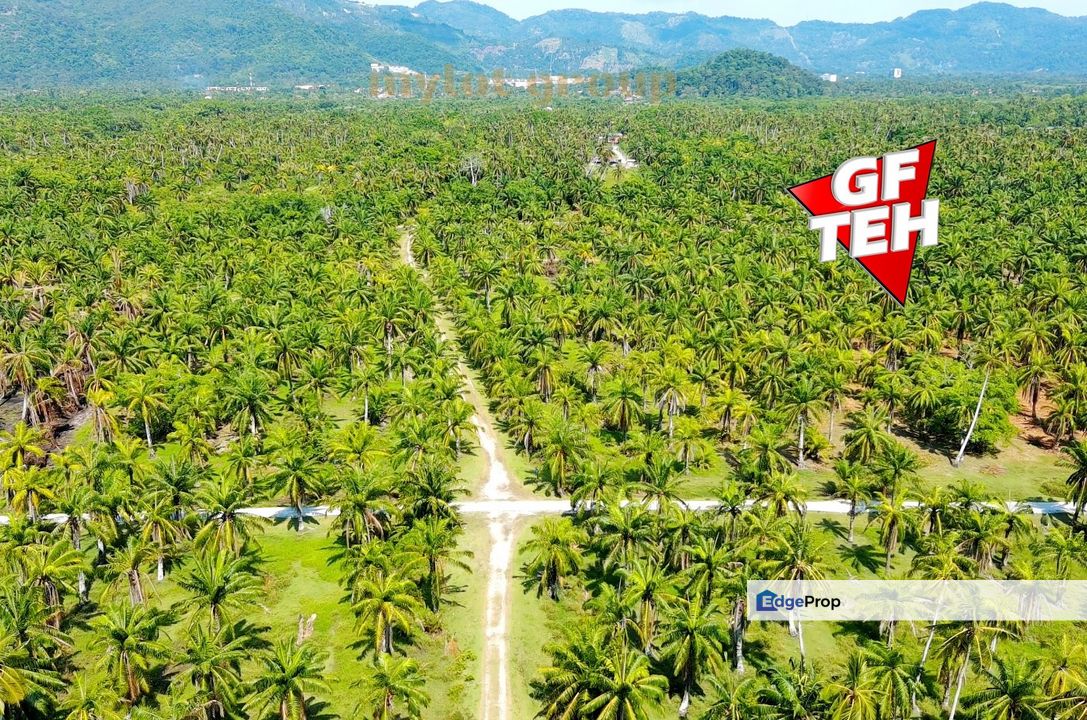 1.7 acre Agricultural Land Balik Pulau | Reserve road | Flat Land | Penang RM24 psf, Penang, Balik Pulau