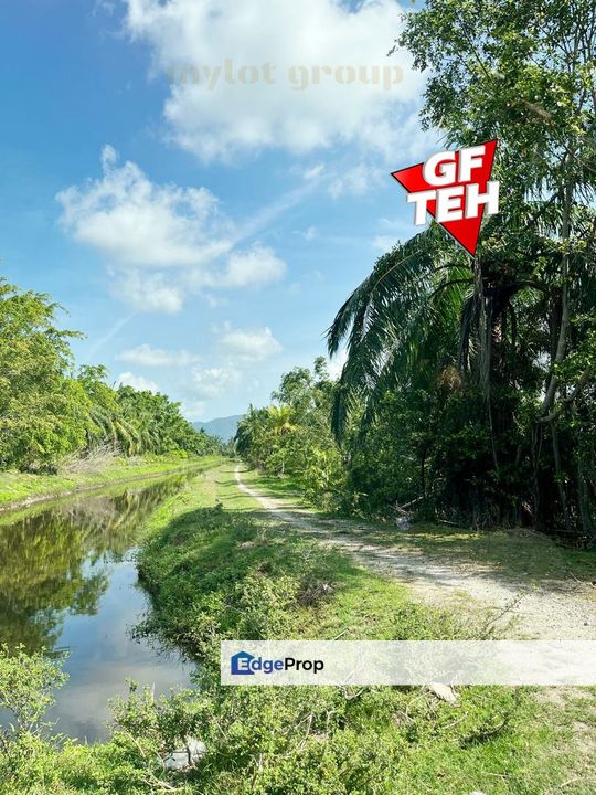 1.7 acre Agricultural Land Balik Pulau | Reserve road | Flat Land | Penang RM24 psf, Penang, Balik Pulau