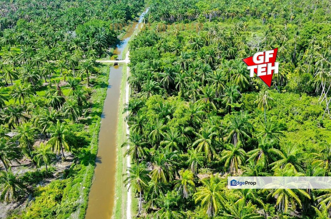 1.7 acre Agricultural Land Balik Pulau | Reserve road | Flat Land | Penang RM24 psf, Penang, Balik Pulau