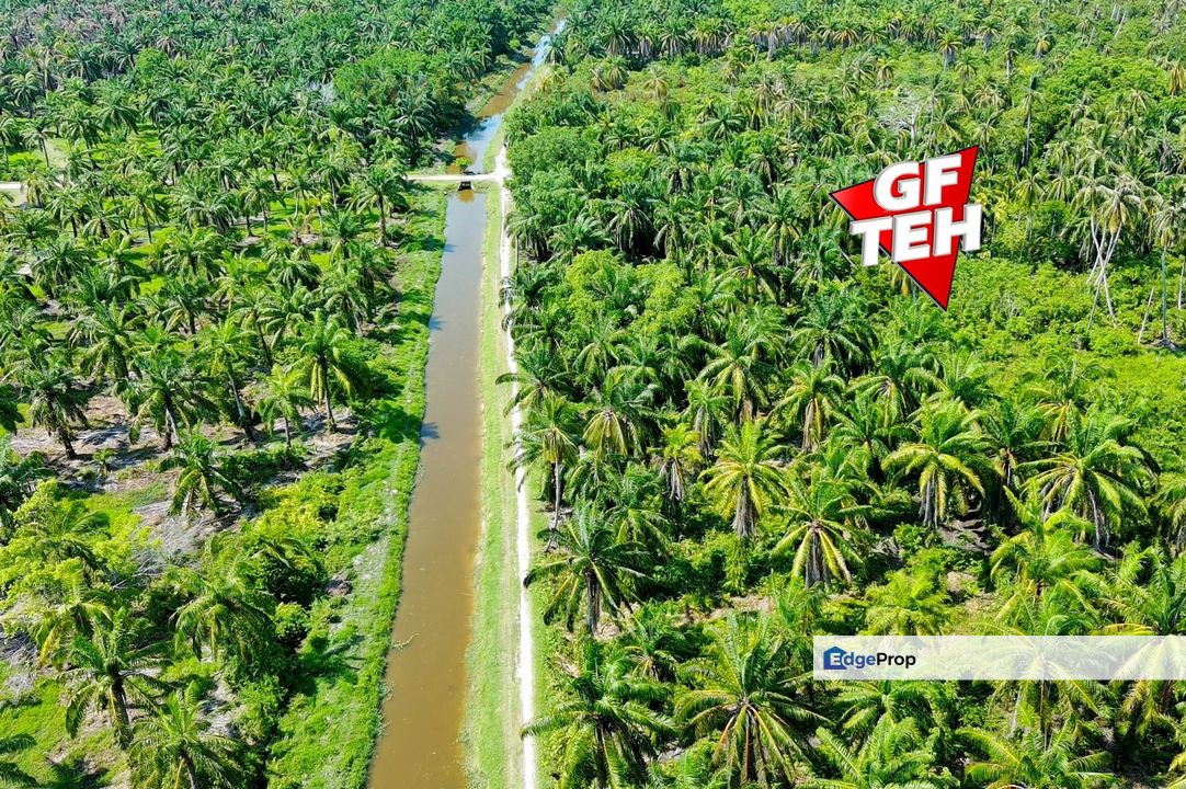 1.7 acre Agricultural Land Balik Pulau | Reserve road | Flat Land | Penang RM24 psf, Penang, Balik Pulau