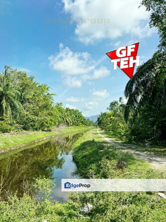 1.7 acre Agricultural Land Balik Pulau | Reserve road | Flat Land | Penang RM24 psf, Penang, Balik Pulau