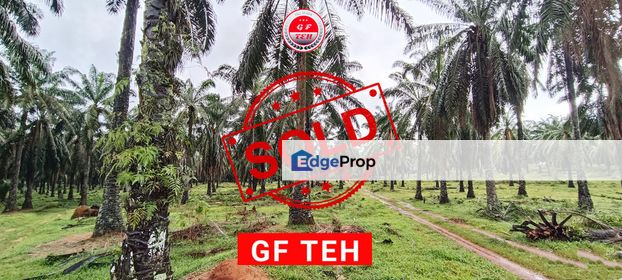 7.1 acres Oil Palm Plantation Naga Lilit | Padang Serai | Kulim | Kedah RM5.50 psf, Kedah, Padang Serai