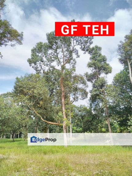 1.73 acres Agricultural land | Cempedak & Durian (With River)  | Karangan | Kulim, Kedah, Kulim