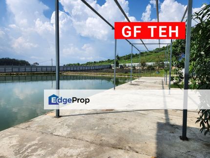 6.356 acres Large freshwater fish fishing spot for sale | Taiping | Perak , Perak, Taiping